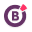 The Borgen Project